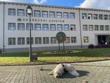 Galéria - Doppler kutyus, a debreceni agrárkar munkatársa