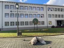 Galéria - Doppler kutyus, a debreceni agrárkar munkatársa